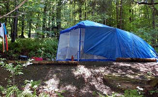 Saraj B.'s photo of tent camping at Hillside Campgrounds near Factoryville, PA
