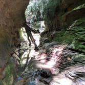 Review photo of Turkey Run State Park Campground — Turkey Run State Park by Jon H., September 21, 2018