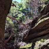 Review photo of Turkey Run State Park Campground — Turkey Run State Park by Jon H., September 21, 2018