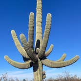 Review photo of AZ State Land North Pump Station Road Dispersed by Patience R., December 12, 2022