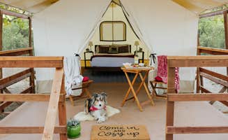 Ken B.'s photo of glamping accommodations at Wildhaven Sonoma near Cazadero, CA