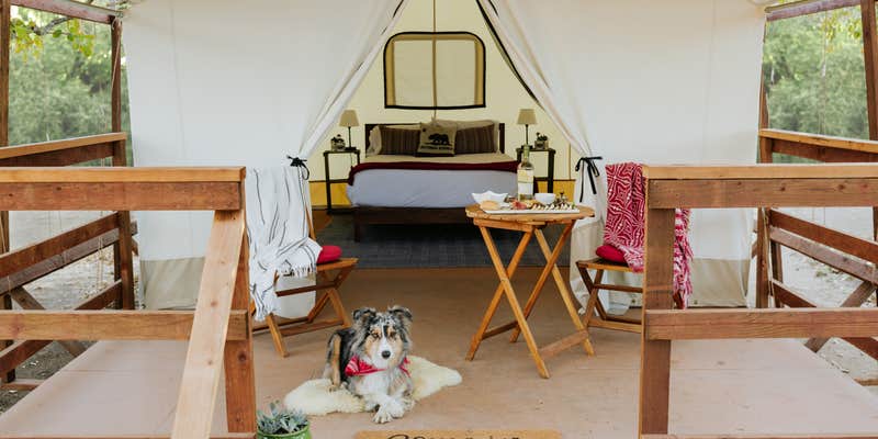 Camper submitted image from Wildhaven Sonoma