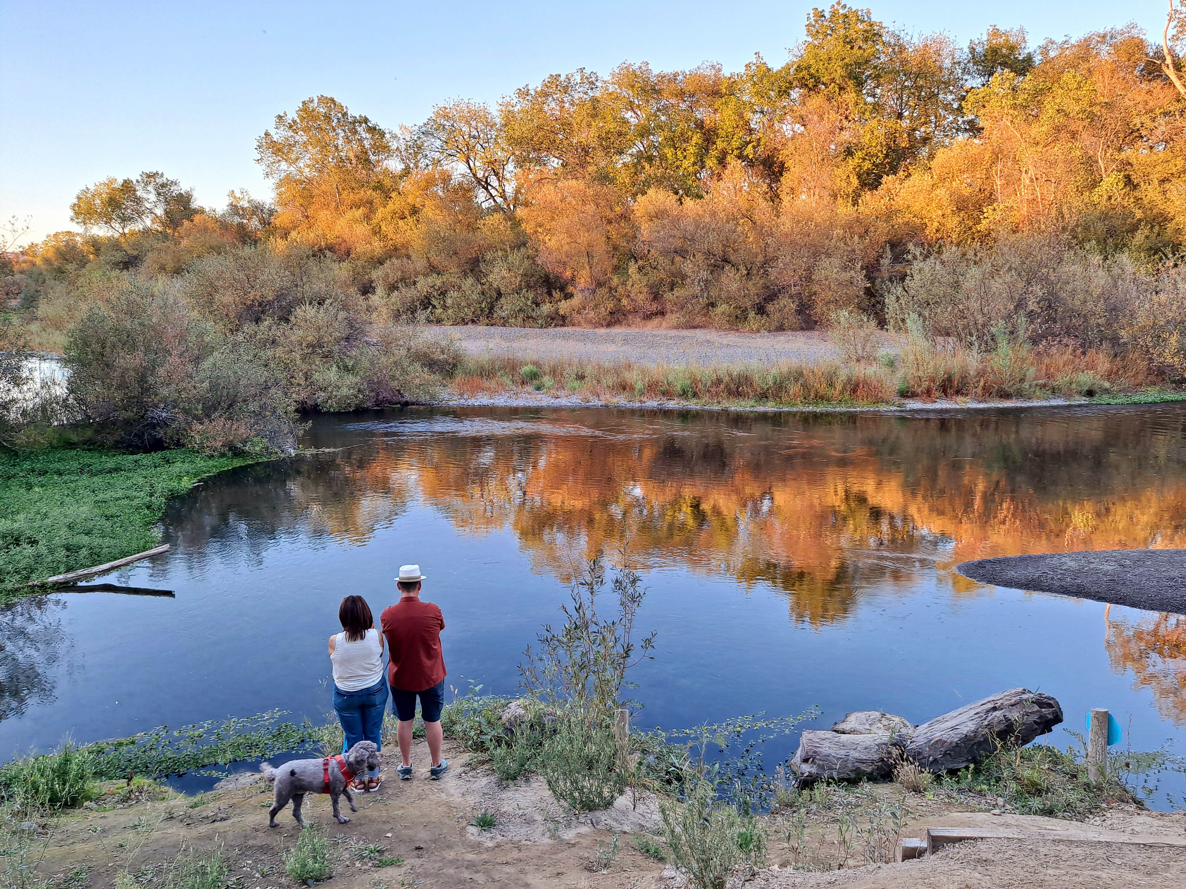 Ken B.'s photo of camping with pets at Wildhaven Sonoma near Santa Rosa, CA