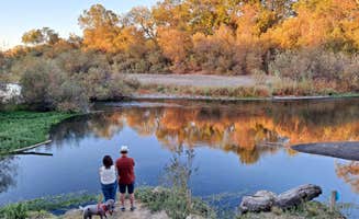 Ken B.'s photo of camping with pets at Wildhaven Sonoma near Angwin, CA