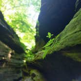 Review photo of Turkey Run State Park Campground — Turkey Run State Park by Jon H., September 21, 2018