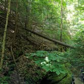 Review photo of Turkey Run State Park Campground — Turkey Run State Park by Jon H., September 21, 2018