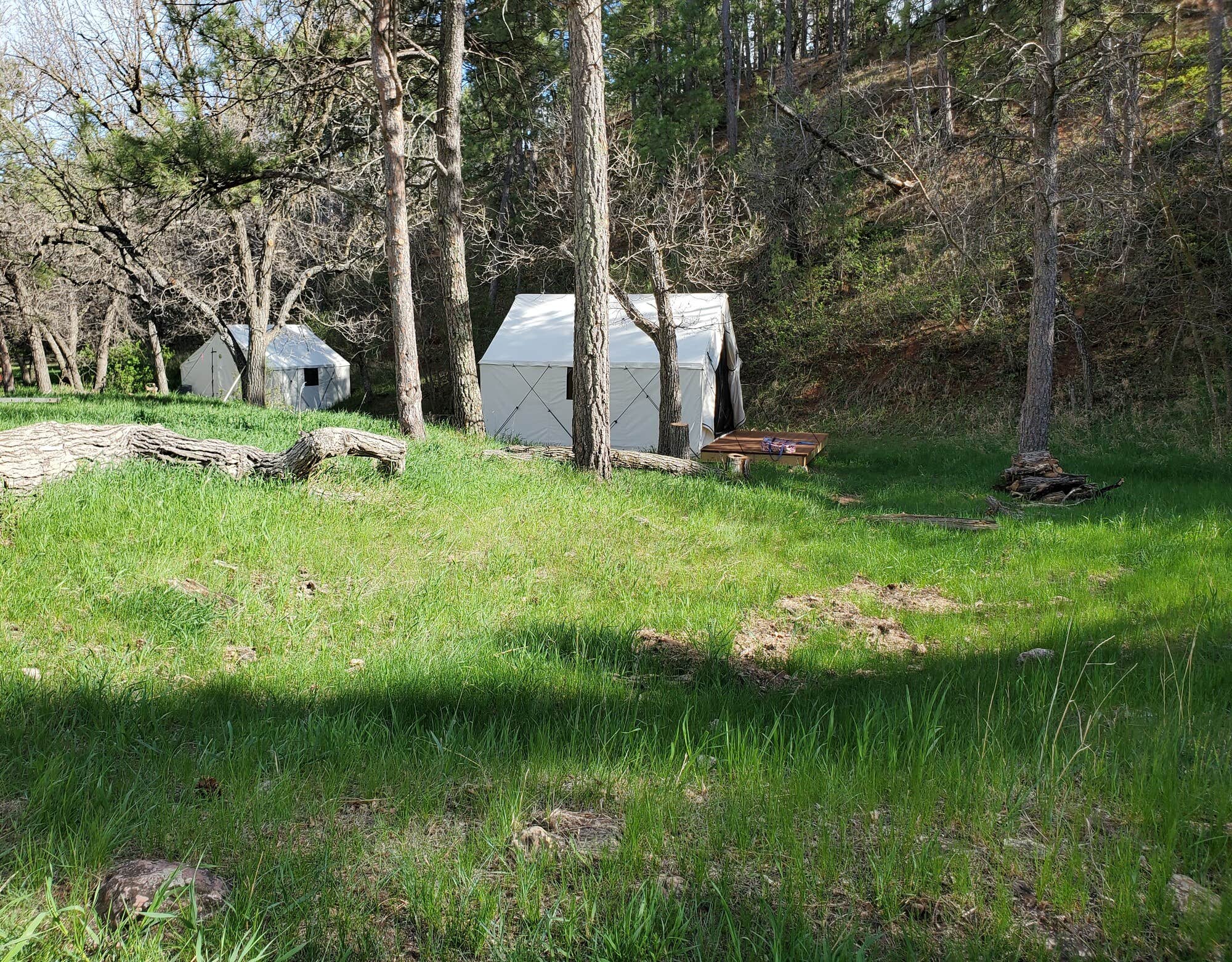 The Dyrt's photo of tent camping at Bear Den Cabins and Camp in South Dakota