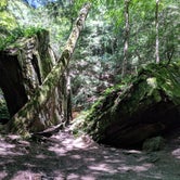 Review photo of Turkey Run State Park Campground — Turkey Run State Park by Jon H., September 21, 2018