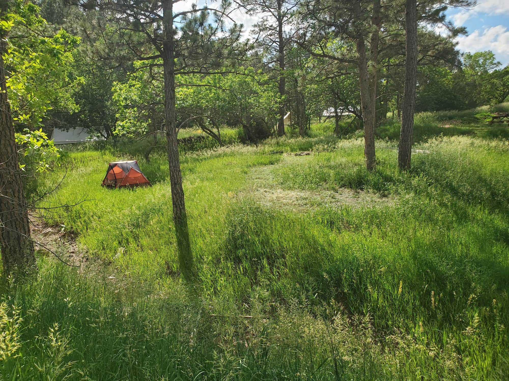 The Dyrt's photo of tent camping at Bear Den Cabins and Camp near Hot Springs, SD