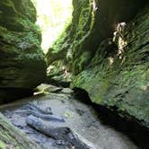 Review photo of Turkey Run State Park Campground — Turkey Run State Park by Jon H., September 21, 2018