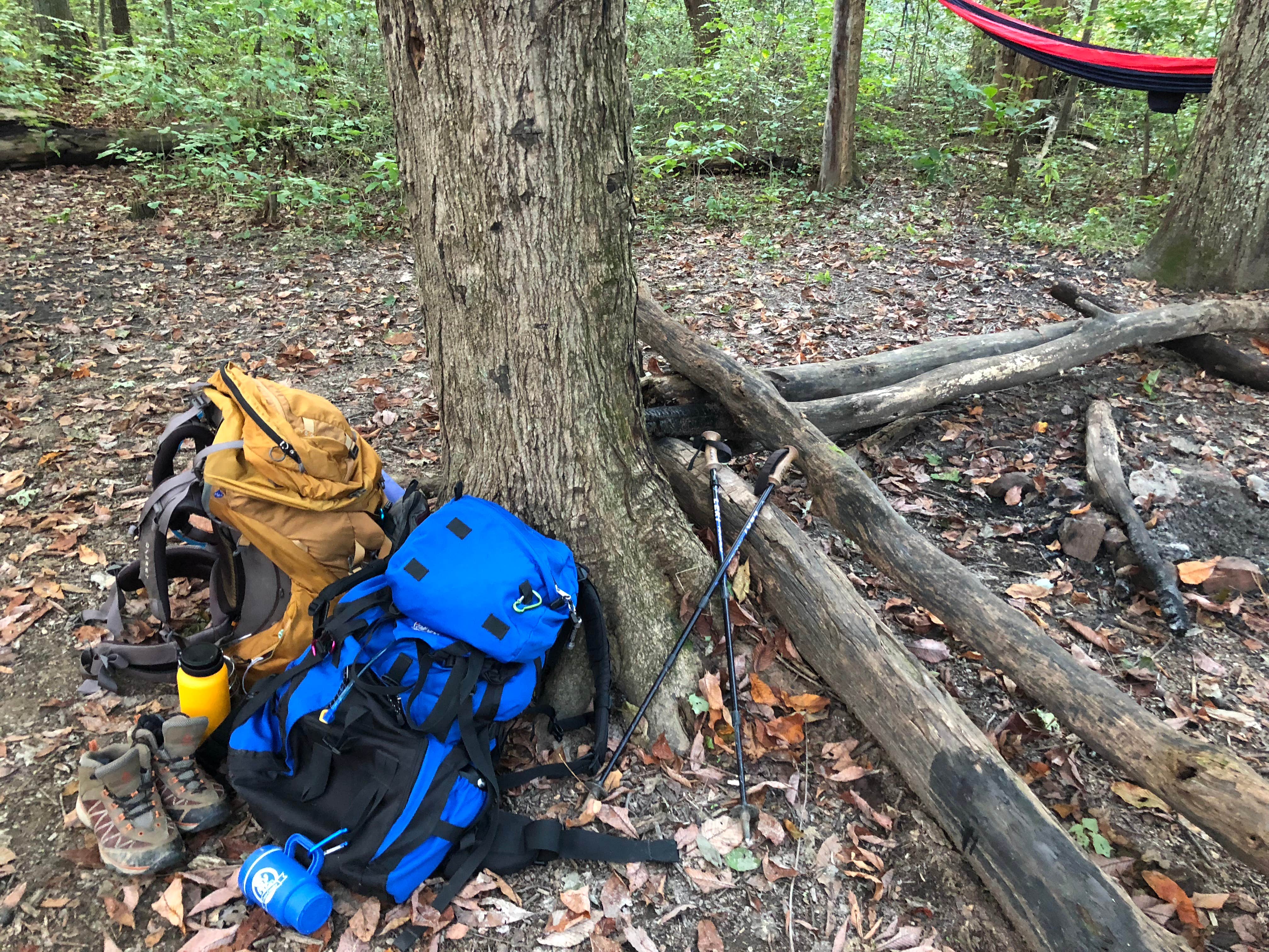 Wildcat Hollow Hiking Trail Dispersed