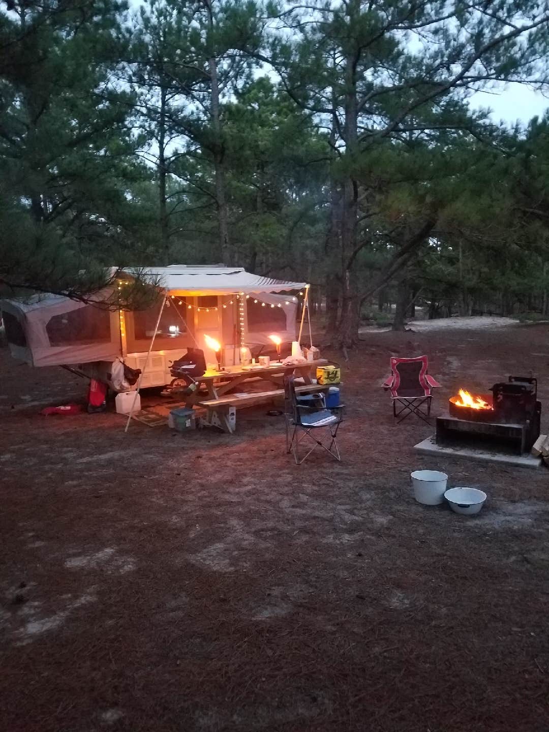 Louise Z.'s photo at Cape Henlopen State Park Campground near Cape May, NJ