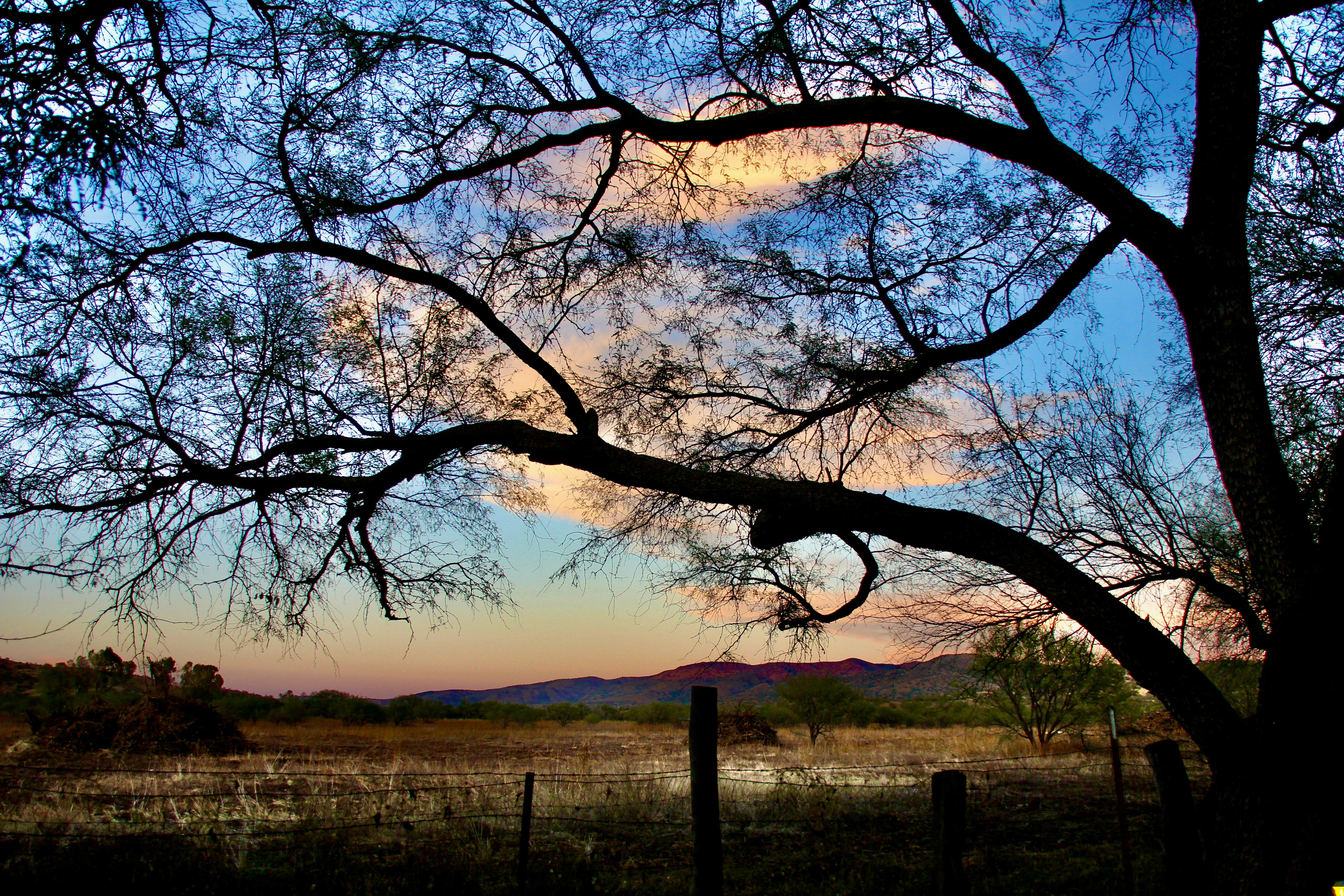 Camper-submitted photo at TerraSol in Patagonia, Arizona near Sonoita, AZ