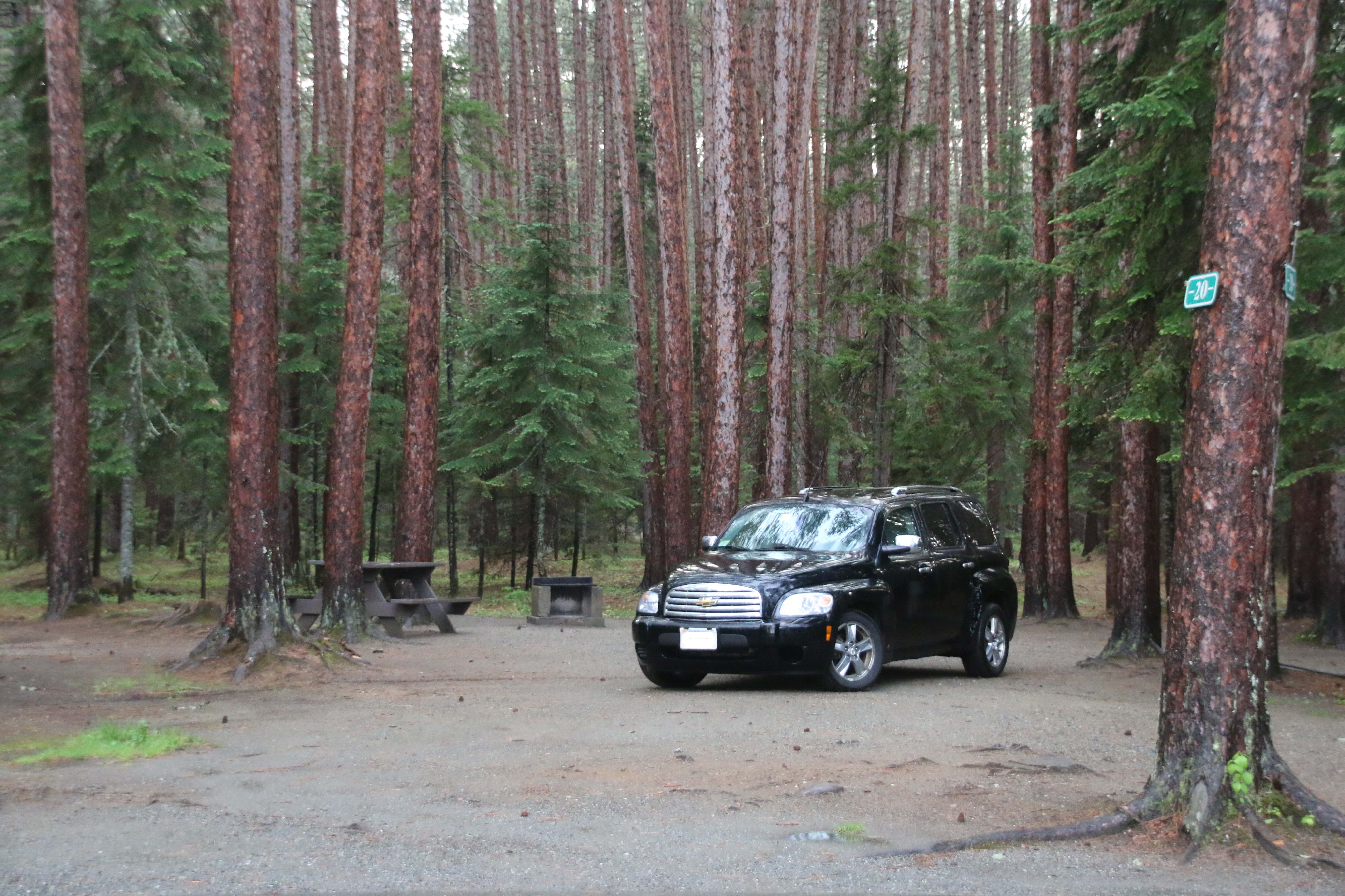 Camper submitted image from Cathedral Pines Campground - 2