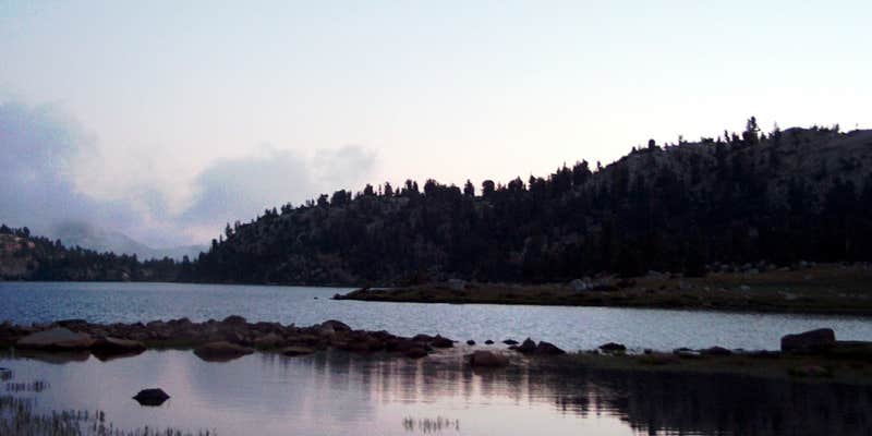 Camper submitted image from Lake Virginia Dispersed