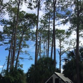 Review photo of St. Andrews State Park Campground by Carole B., September 21, 2018