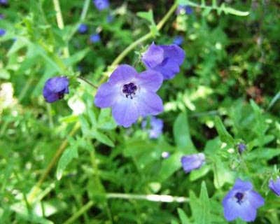 Camper-submitted photo at Paducah-Kentucky Lake KOA near Grand Rivers, KY