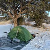 Review photo of Kaibab National Forest by Robert T., December 13, 2022