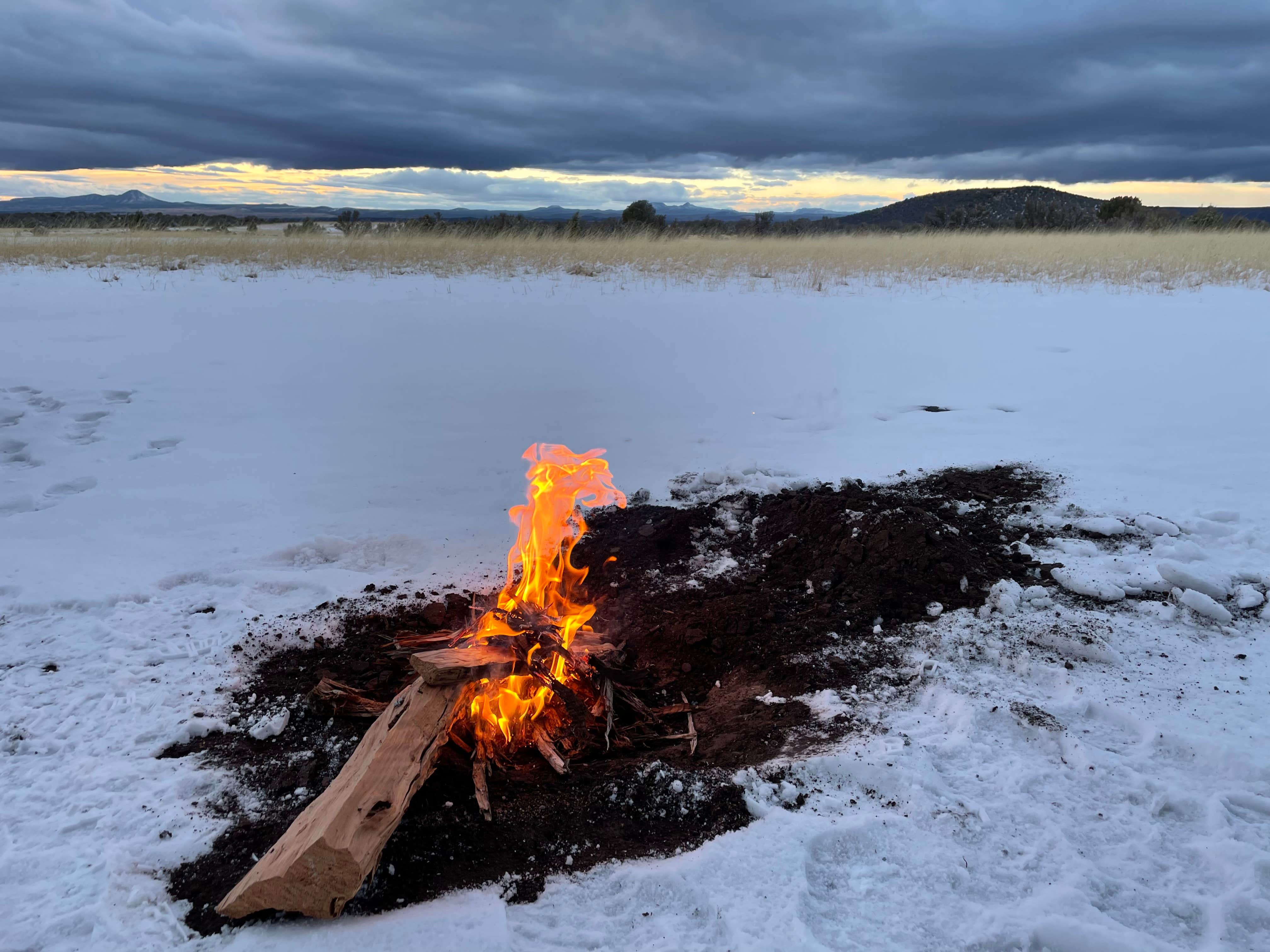 Camper-submitted photo at Kaibab National Forest near Williams, AZ