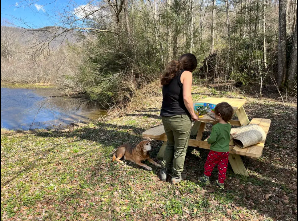 Ashley F.'s photo of camping with pets at Pondside Single near Asheville, NC