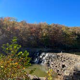 Review photo of Devil's Den State Park Campground by Napunani , December 13, 2022