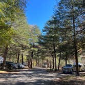 Review photo of Devil's Den State Park Campground by Napunani , December 13, 2022