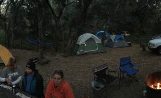 Darrin L.'s photo at Henry Cowell Redwoods State Park Campground near Felton, CA