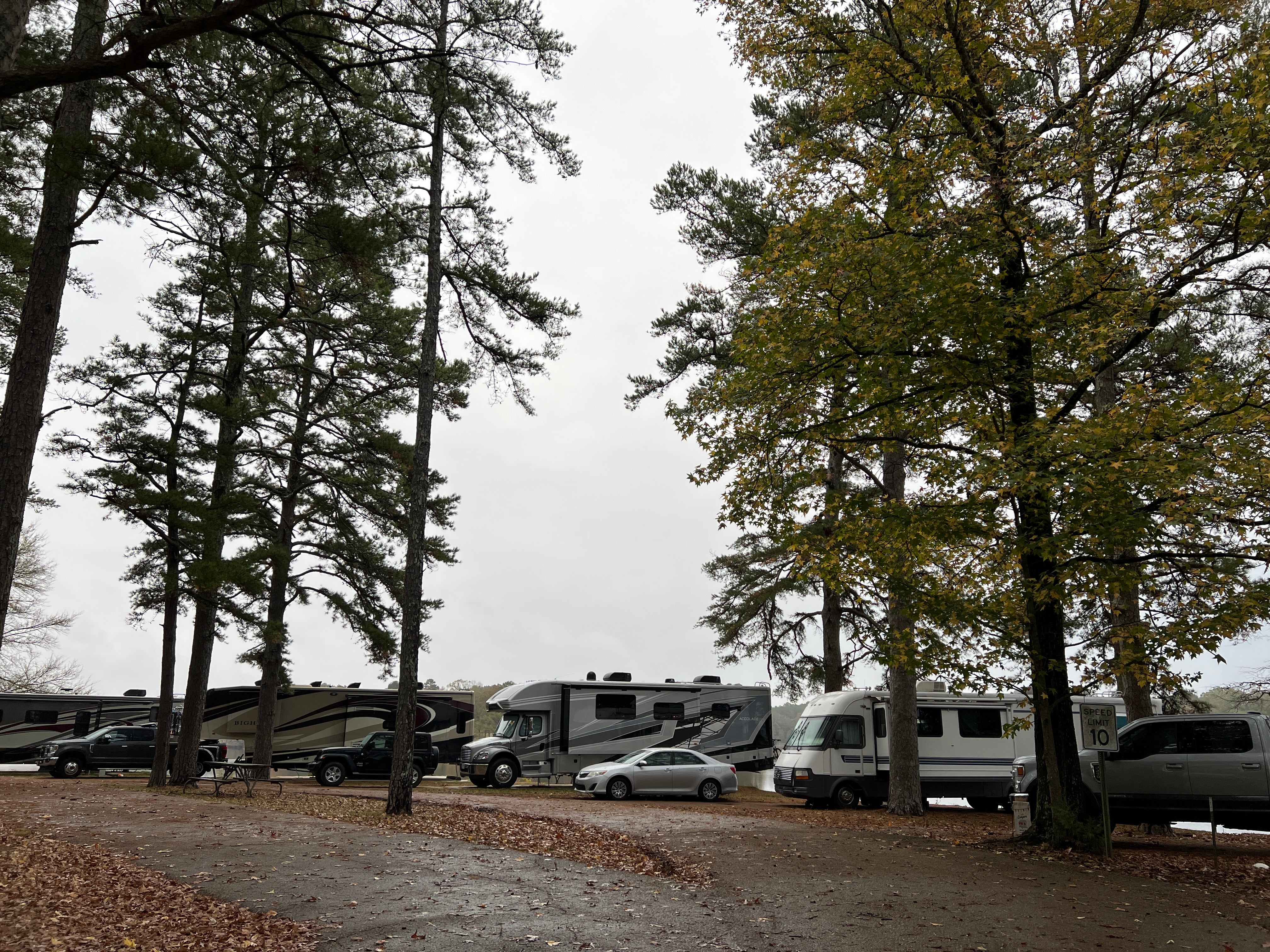 Camper submitted image from Trace State Park - 1