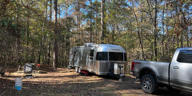 Camper submitted image from Legion State Park Campground