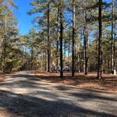 Review photo of Legion State Park Campground by Napunani , December 13, 2022