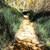 Review photo of Calf Creek Campground by Alex B., September 21, 2018