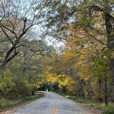 Review photo of Brazos Bend State Park Campground by Napunani , December 13, 2022