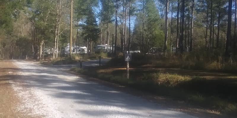Camper submitted image from Big Creek RV Park