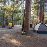 Review photo of Tuolumne Meadows Campground — Yosemite National Park by Darrin L., August 10, 2016