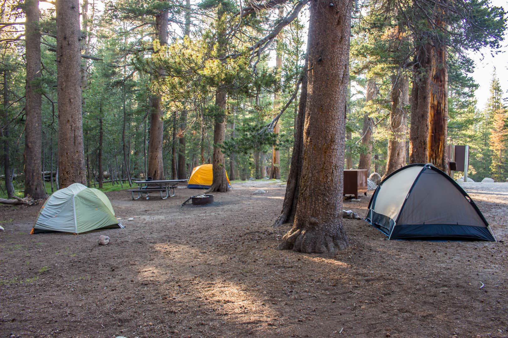 Camper submitted image from Tuolumne Meadows Campground — Yosemite National Park - 4