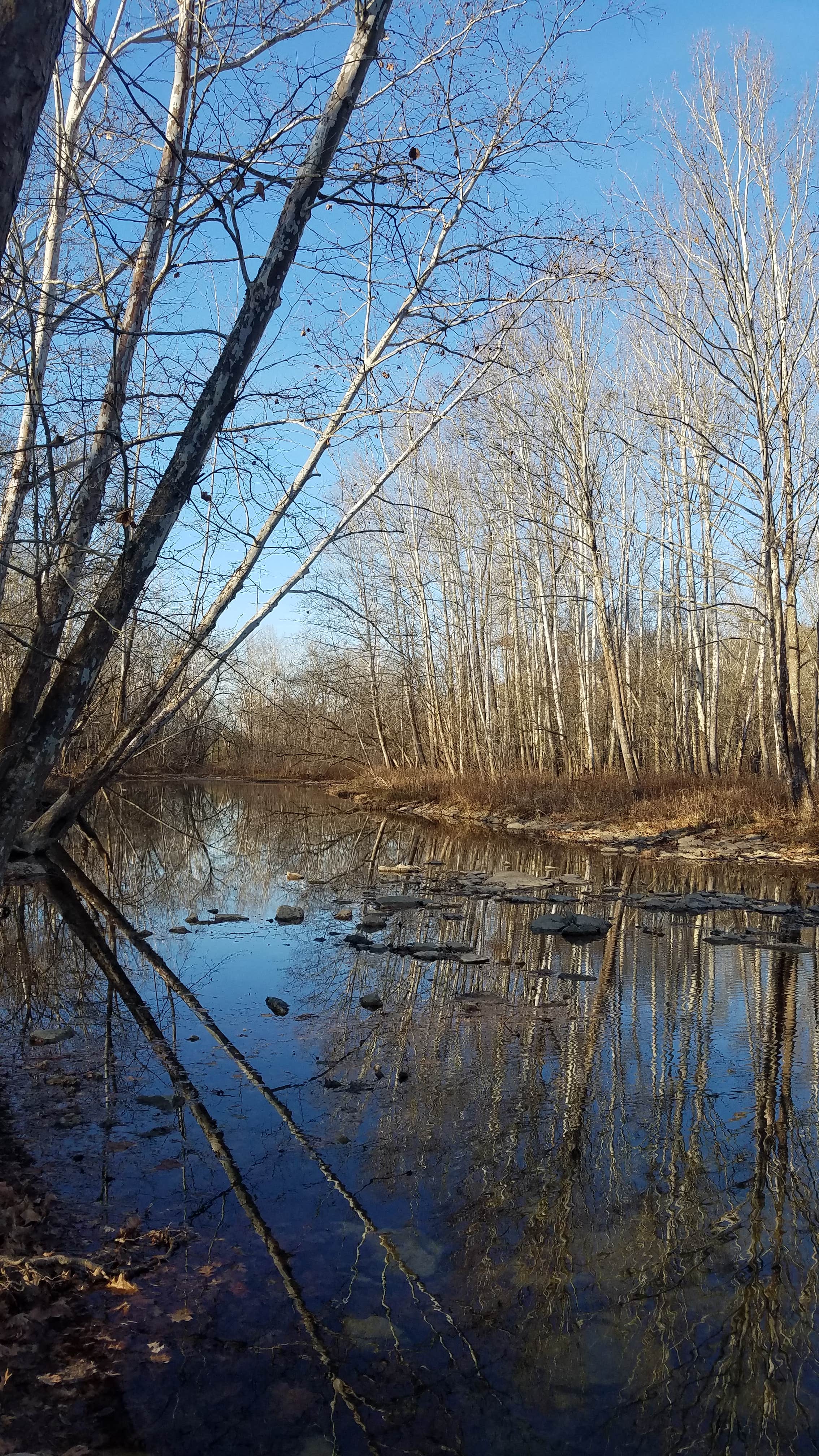 Camper submitted image from Hones Pointe Campground - 1