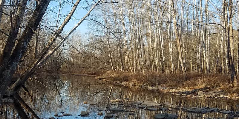 Camper submitted image from Hones Pointe Campground