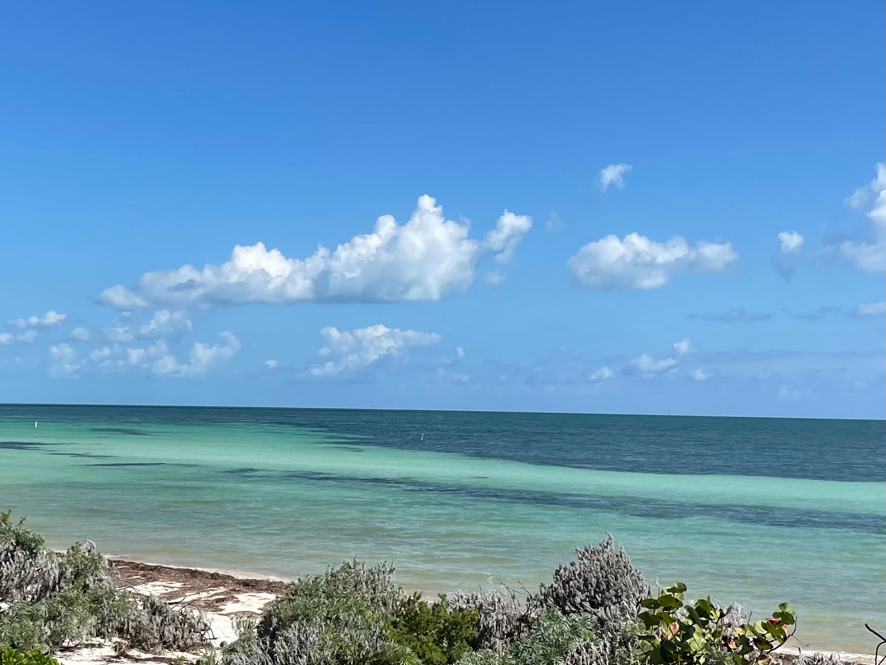 Camper submitted image from Buttonwood Campground — Bahia Honda State Park - 1