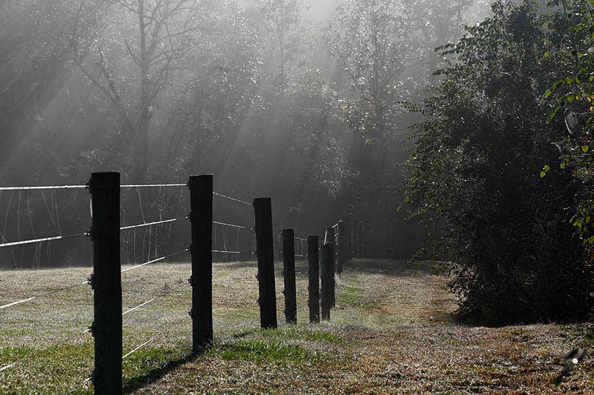 Camper-submitted photo at Campsite at Wallace Meadows Farm / RV site at Wallace Meadows Farm near Kinston, NC