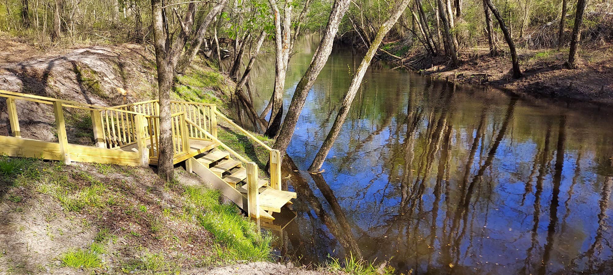 Camper-submitted photo at Campsite at Wallace Meadows Farm / RV site at Wallace Meadows Farm near Kinston, NC