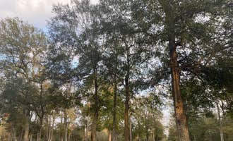 Camping near Rio RV Park at Turtle Bayou: Whites County Park Campground , Anahuac, Texas