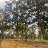 Review photo of Whites County Park Campground  by Star L., December 14, 2022