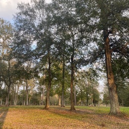 Whites County Park Campground 