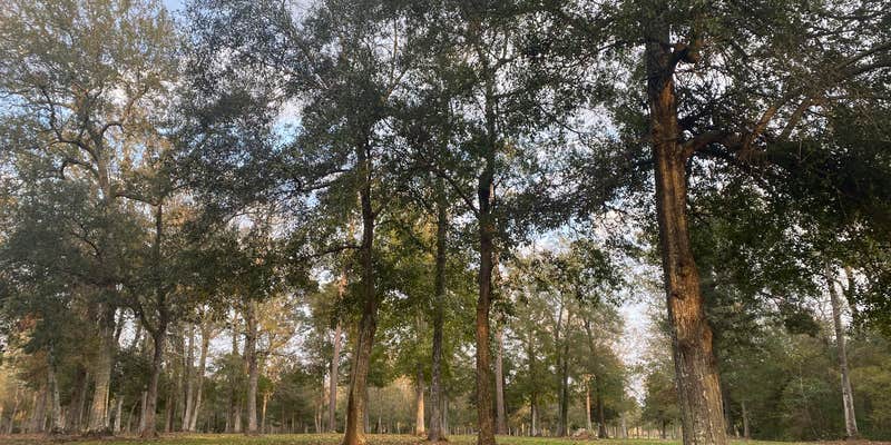 Camper submitted image from Whites County Park Campground