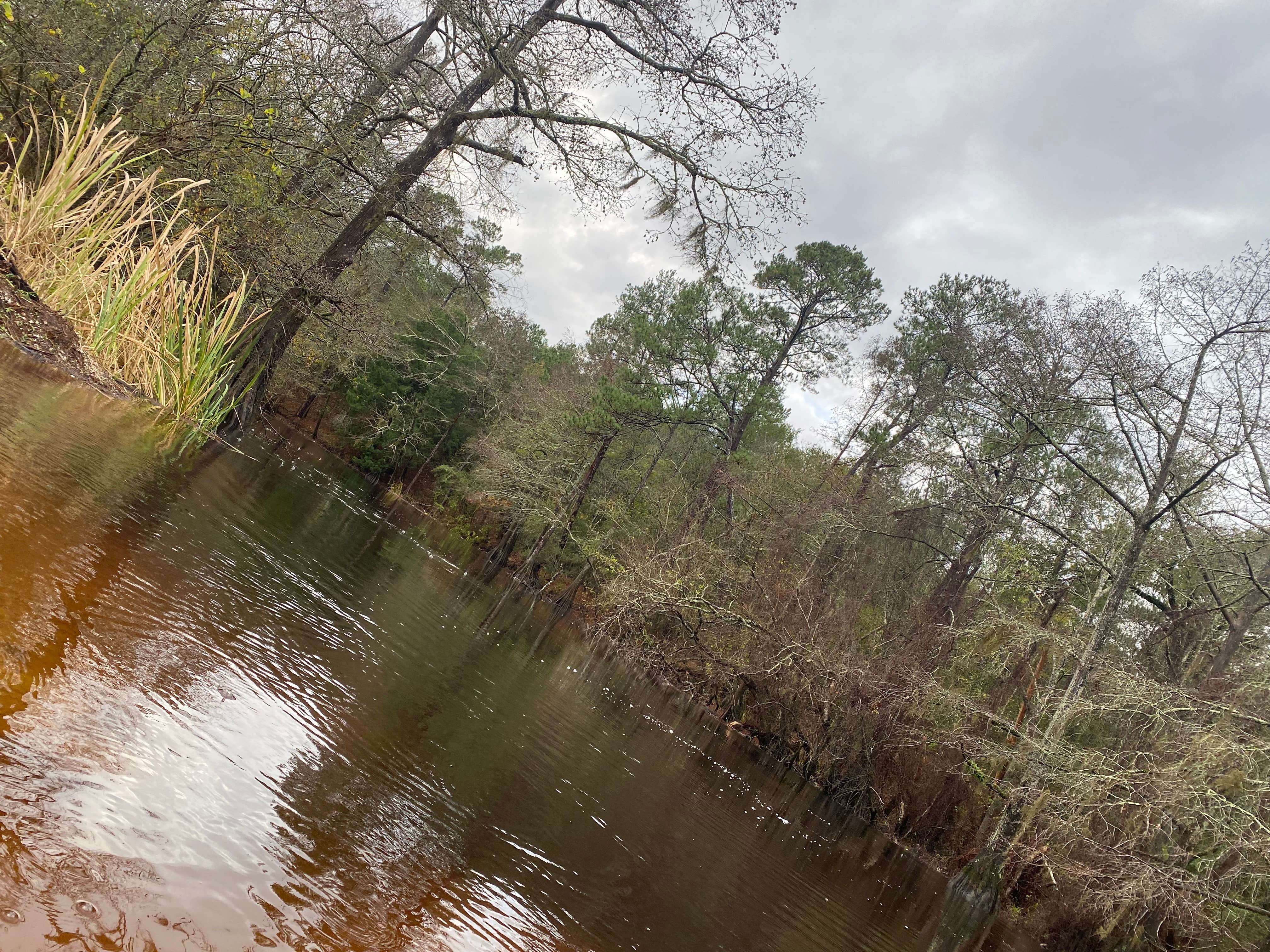 Camper-submitted photo at Whites County Park Campground near Silsbee, TX