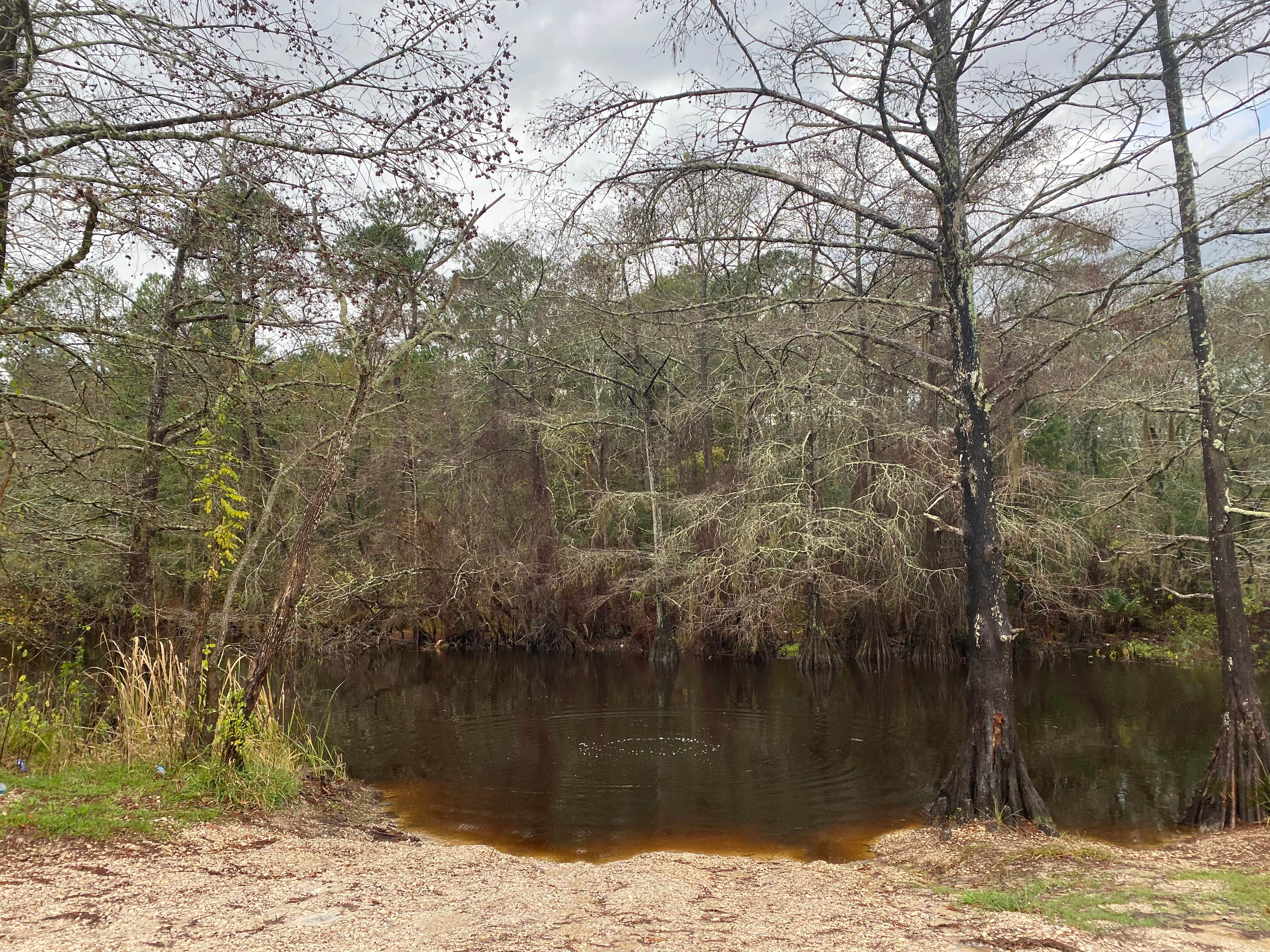 Camper-submitted photo at Whites County Park Campground near Silsbee, TX