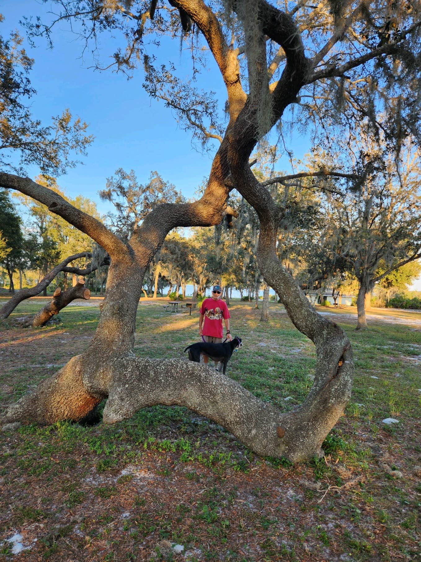 Terry P.'s photo of camping with pets at Lake Manatee State Park Campground near Sarasota, FL