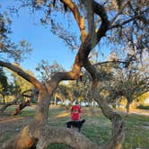 Review photo of Lake Manatee State Park Campground by Terry P., December 14, 2022