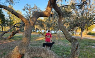 Terry P.'s photo of camping with pets at Lake Manatee State Park Campground near Anna Maria, FL