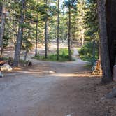 Review photo of Tuolumne Meadows Campground — Yosemite National Park by Darrin L., August 10, 2016